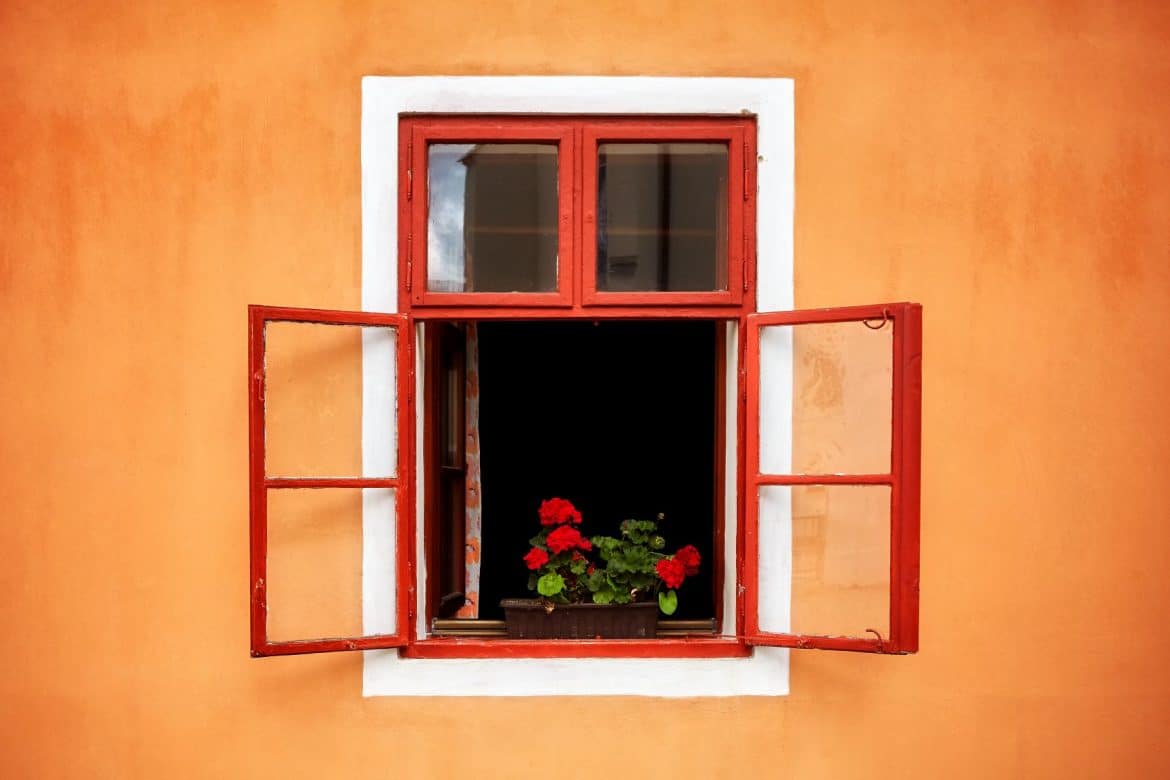 Fenêtre ouverte avec des fleurs
