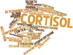 cortisol salivaire et tennis cortisol salivaire et tennis