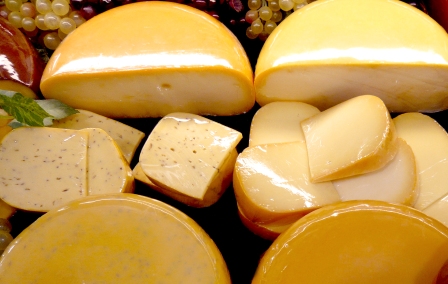 fromage aux probiotiques immunite fromage aux probiotiques immunite