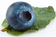 myrtille superfruit
